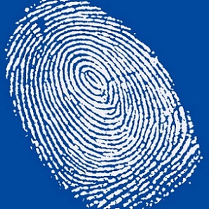 В Китае найдено еще одно решение мобильных биометрических платежей В Китае найдено еще одно решение мобильных биометрических платежей